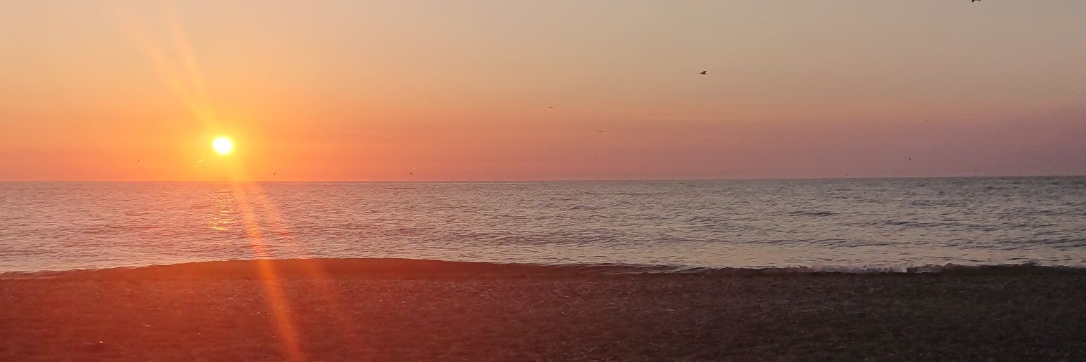 AmyyBarnett's profile banner image