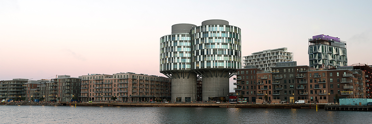 Rina Ronja Kari banner