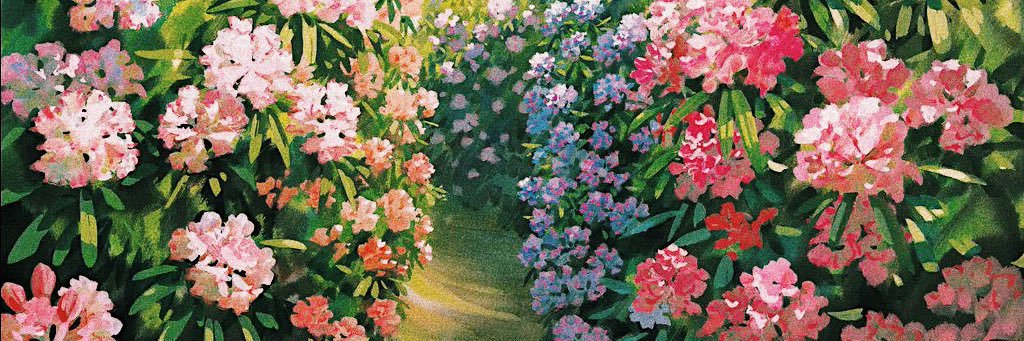 bn_1d_'s profile banner image