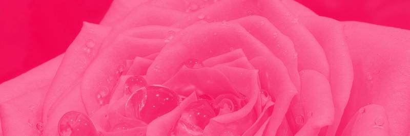 KimGotBooty's profile banner image