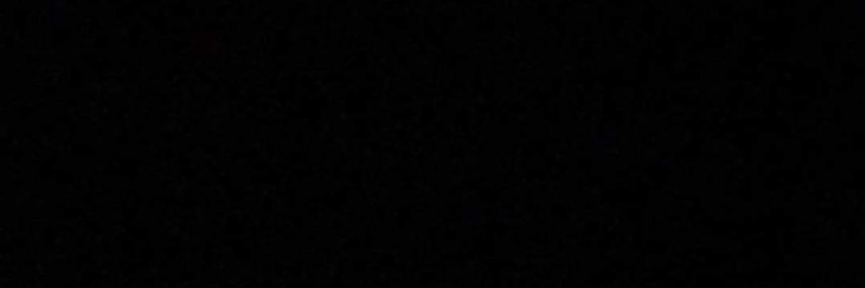 haleybrasilll's profile banner image
