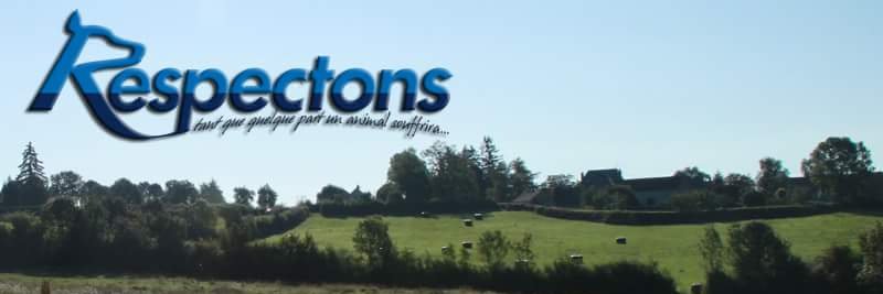 Respectons's profile banner image