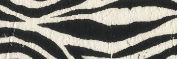 renalis96's profile banner image