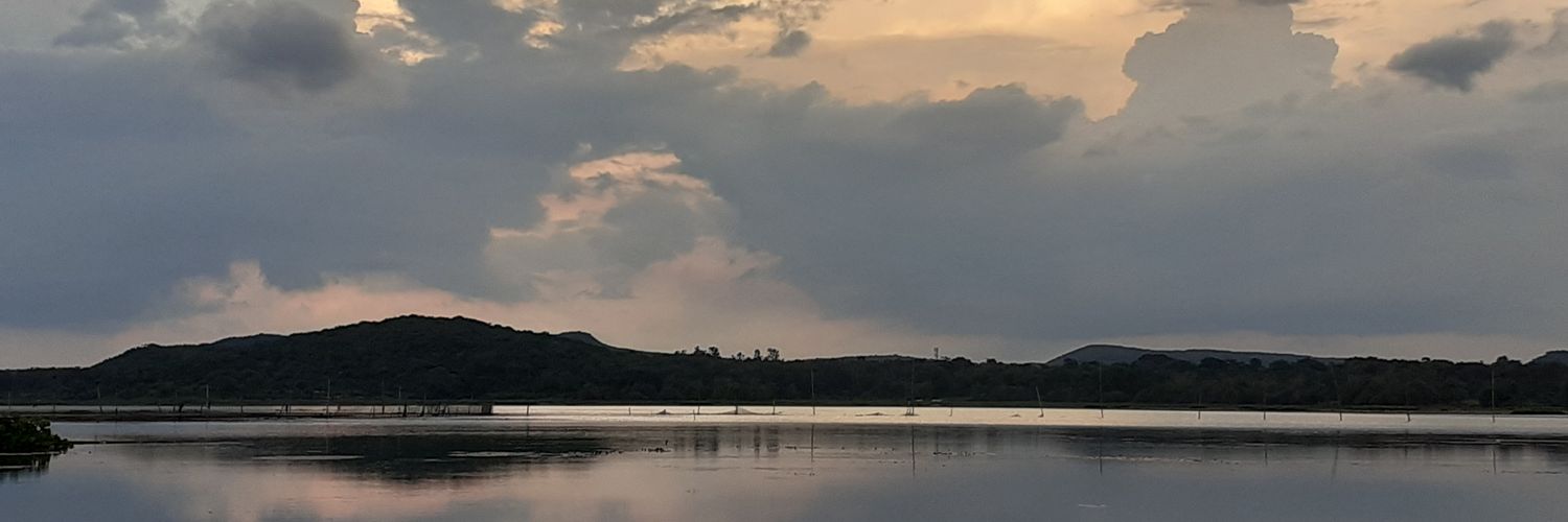 OdiaCulture's profile banner image