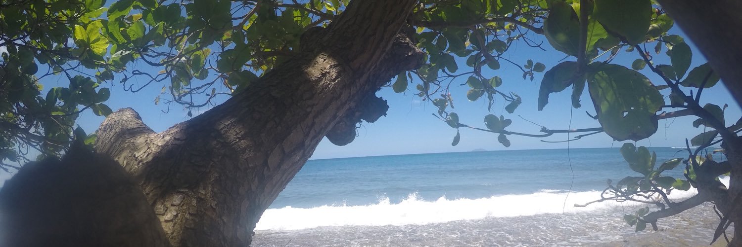 toohee713's profile banner image