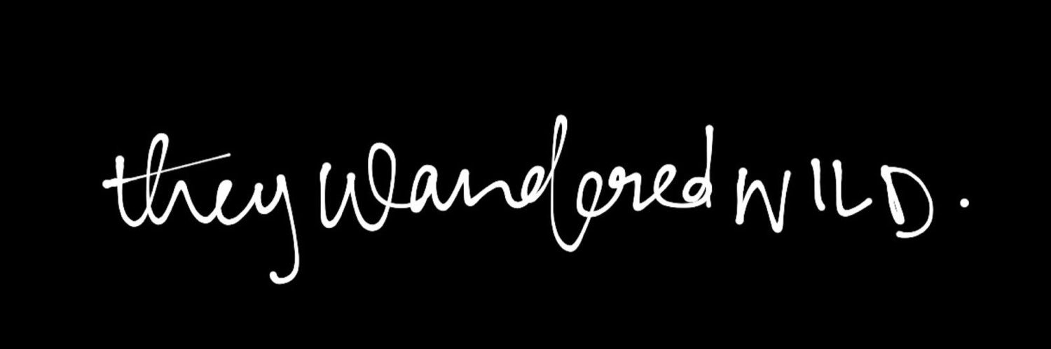 Audrey Bienek banner