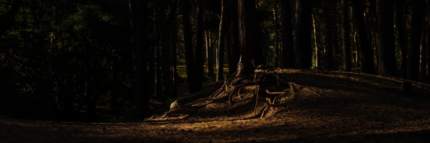 LfcRimmer's profile banner image