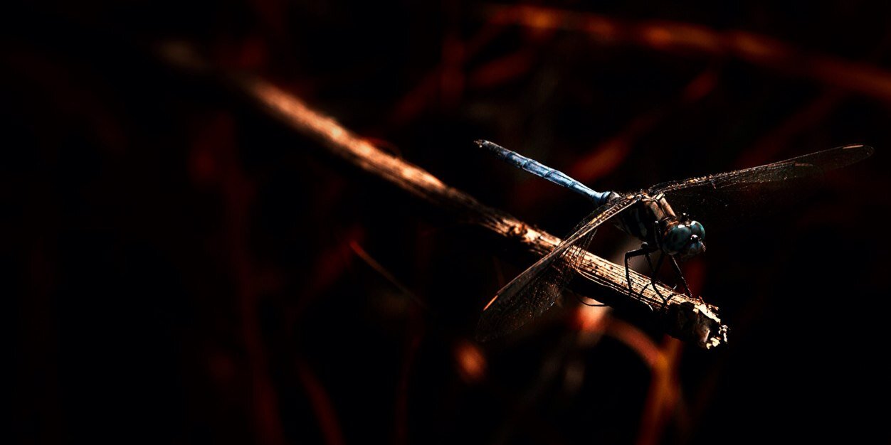 AnnModey's profile banner image