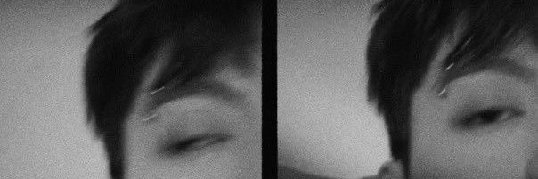 __althaea's profile banner image