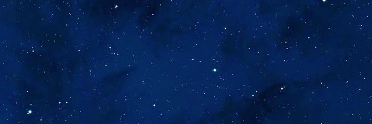薇薇 banner