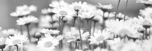 Nate | Personal banner