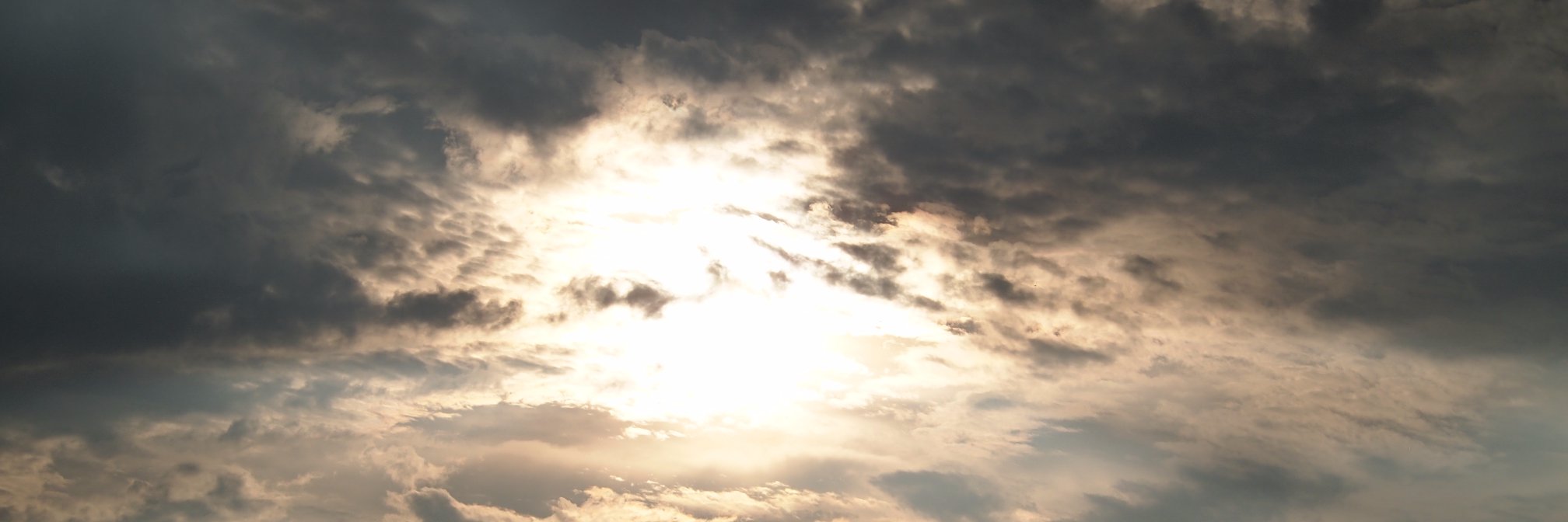 reoreefxx's profile banner image