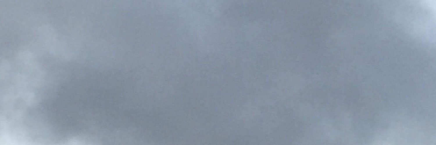 maritgrimsrud's profile banner image