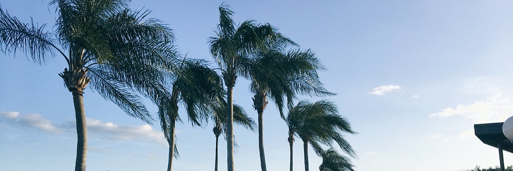 ashton_zitzman's profile banner image