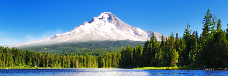 cfibPACIFIC's profile banner image