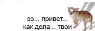 мемчиков banner