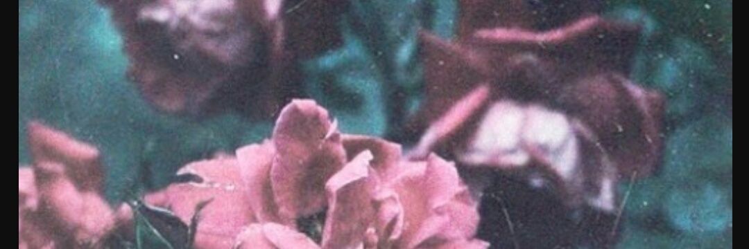 xdolanmendesx's profile banner image