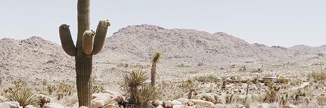 smniston's profile banner image