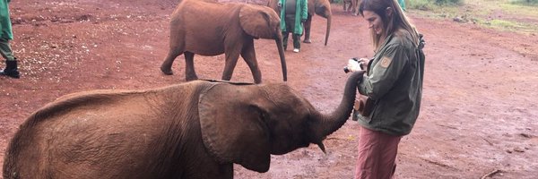 claruchi Profile Banner