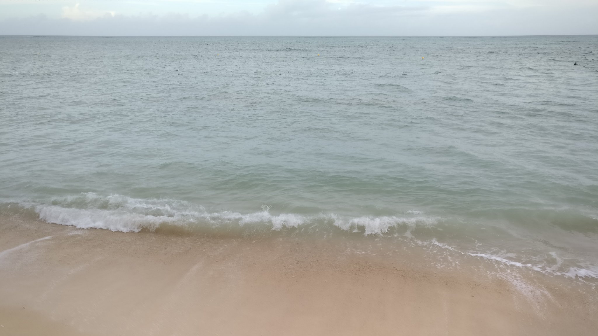 thdroid's profile banner image
