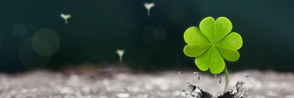 CheddarJohnson's profile banner image