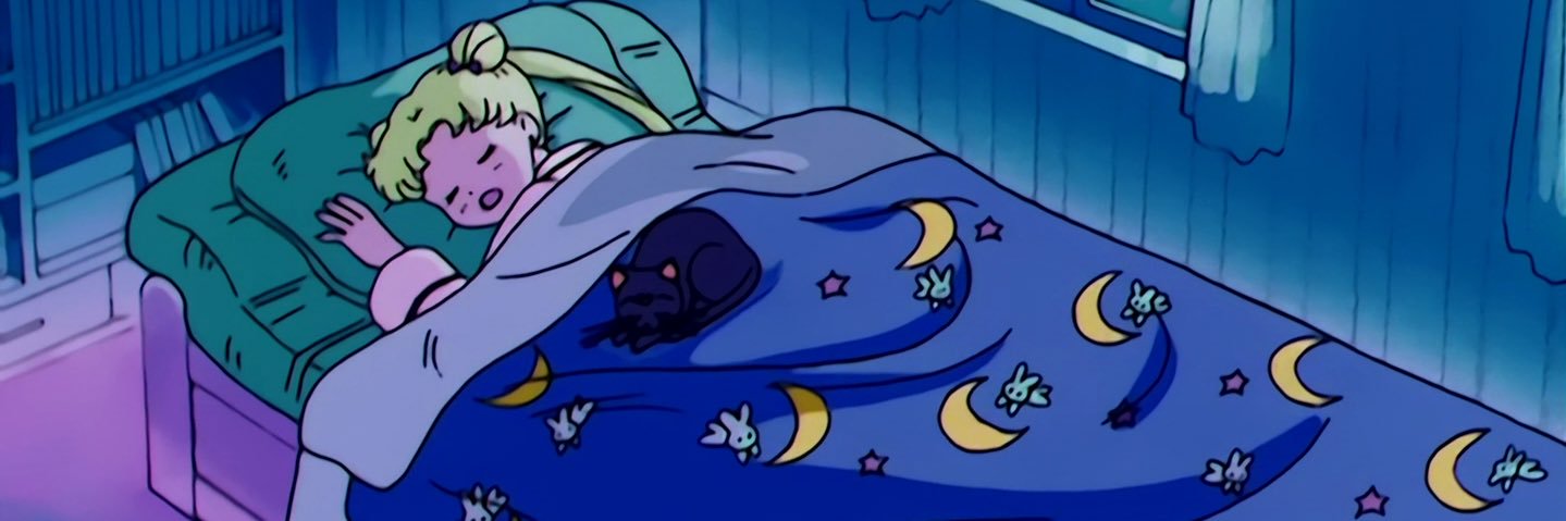 satansskitty's profile banner image