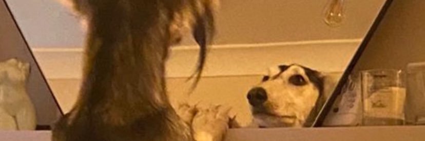 Emma banner
