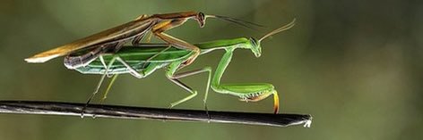 stomon98's profile banner image