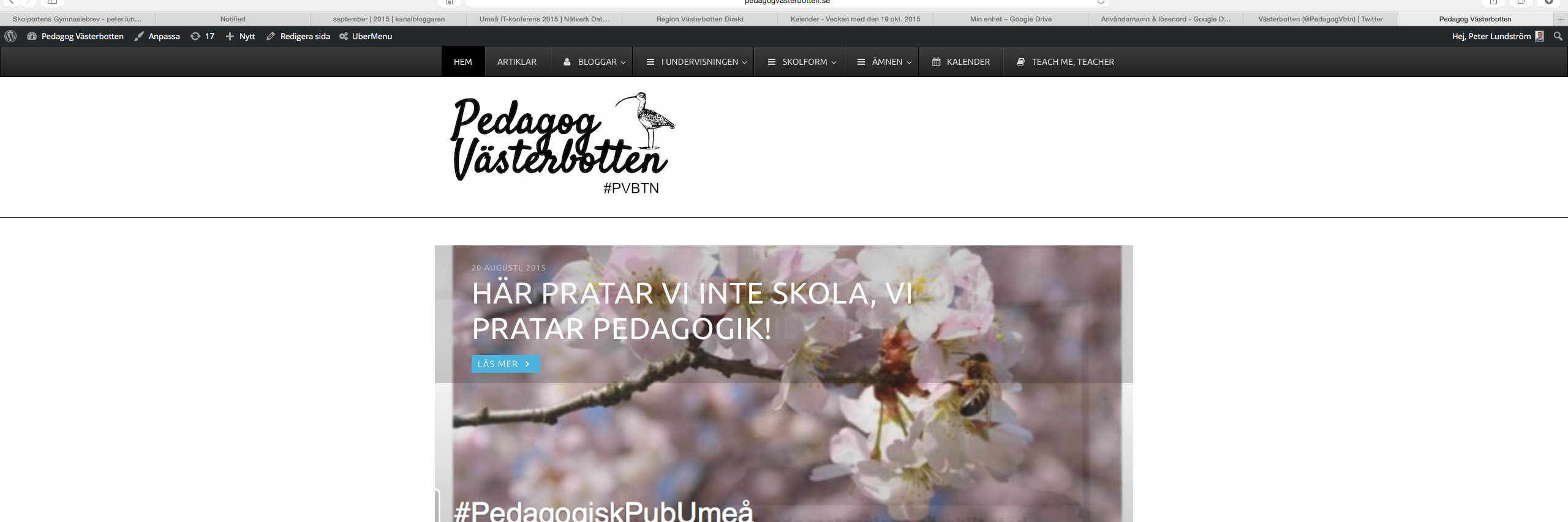 PedagogVbtn's profile banner image