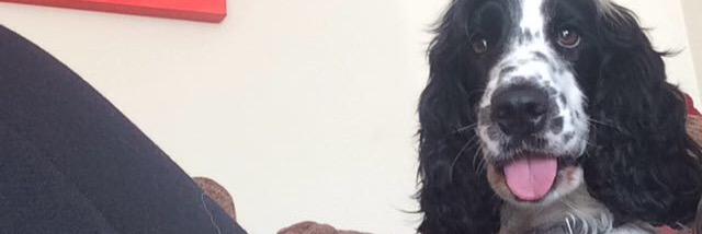 BeccaGower's profile banner image