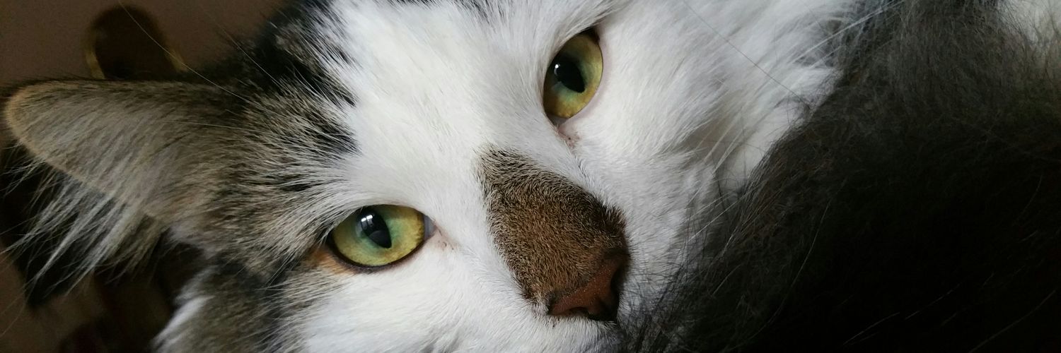 noaaa00's profile banner image