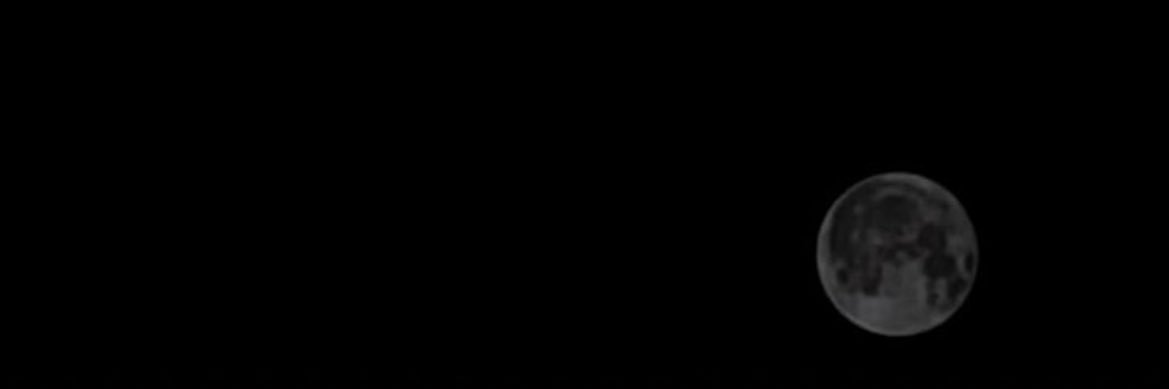 IIRaniyaa's profile banner image