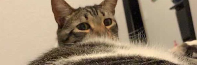 MeganPenning19's profile banner image