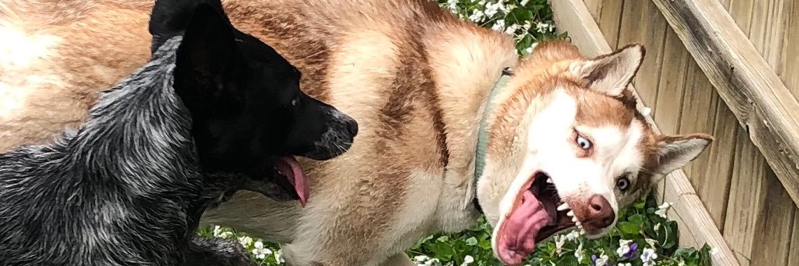 KingofBritainRM's profile banner image