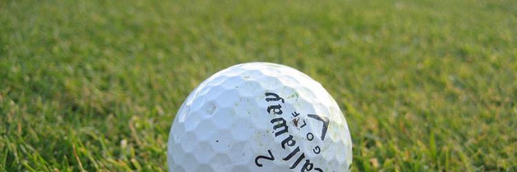 MillbrookGolf's profile banner image