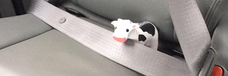 DonaldTheCow's profile banner image