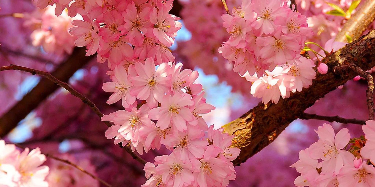 عزام اللحياني banner