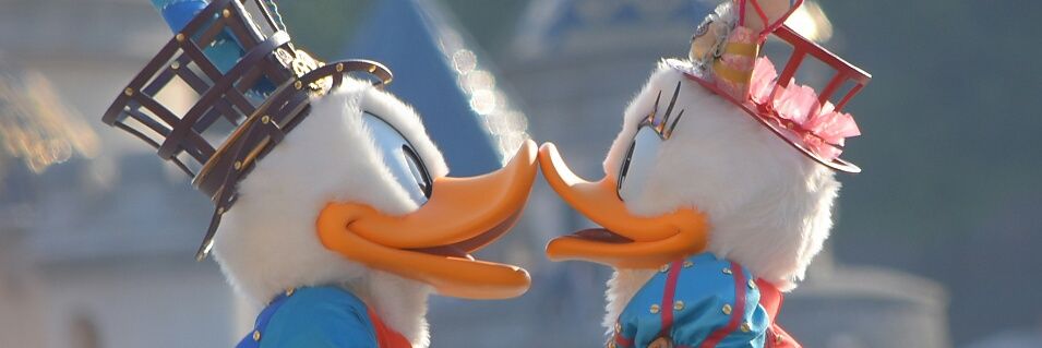 hrm_daisy's profile banner image