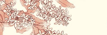 hi_5106's profile banner image