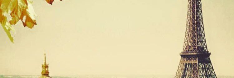 carochabs's profile banner image