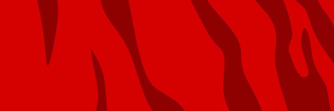 Tomàs Rafael banner