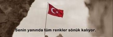 nevintopcu's profile banner image