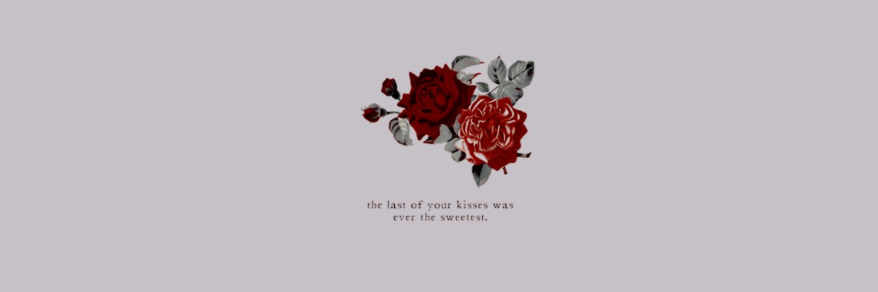 ellevilela's profile banner image