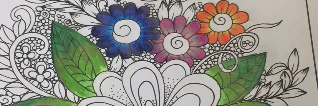 BauerBrielle's profile banner image