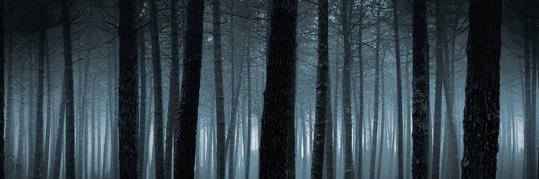 NASHXEL's profile banner image