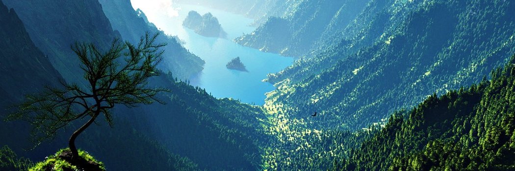 Daniel Dynesius banner