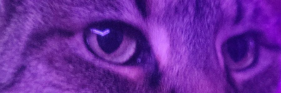 Jheiskelll's profile banner image