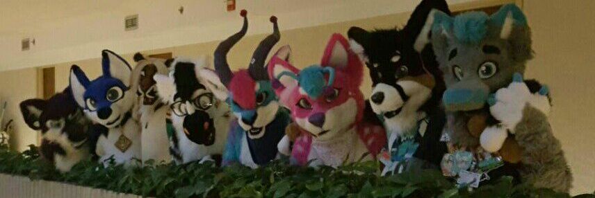 coltdoggo's profile banner image