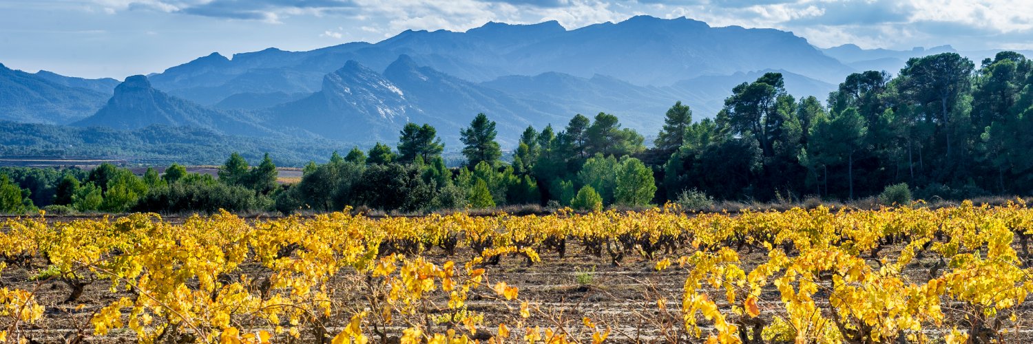 BancroftWines banner
