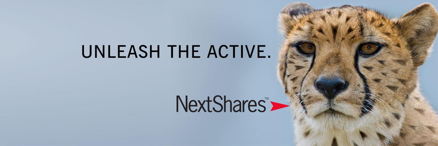 NextShares's profile banner image
